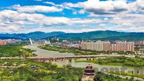 MW森林舞会2-MW森林舞会2，一场虚拟与现实的交响