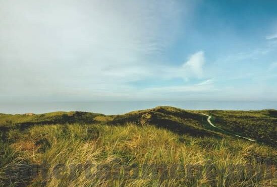 水果机遥控器价格行情-水果机遥控器价格行情分析